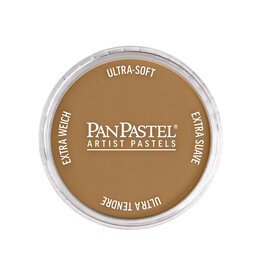 Panpastel PanPastel Colours Burnt Umber Medium