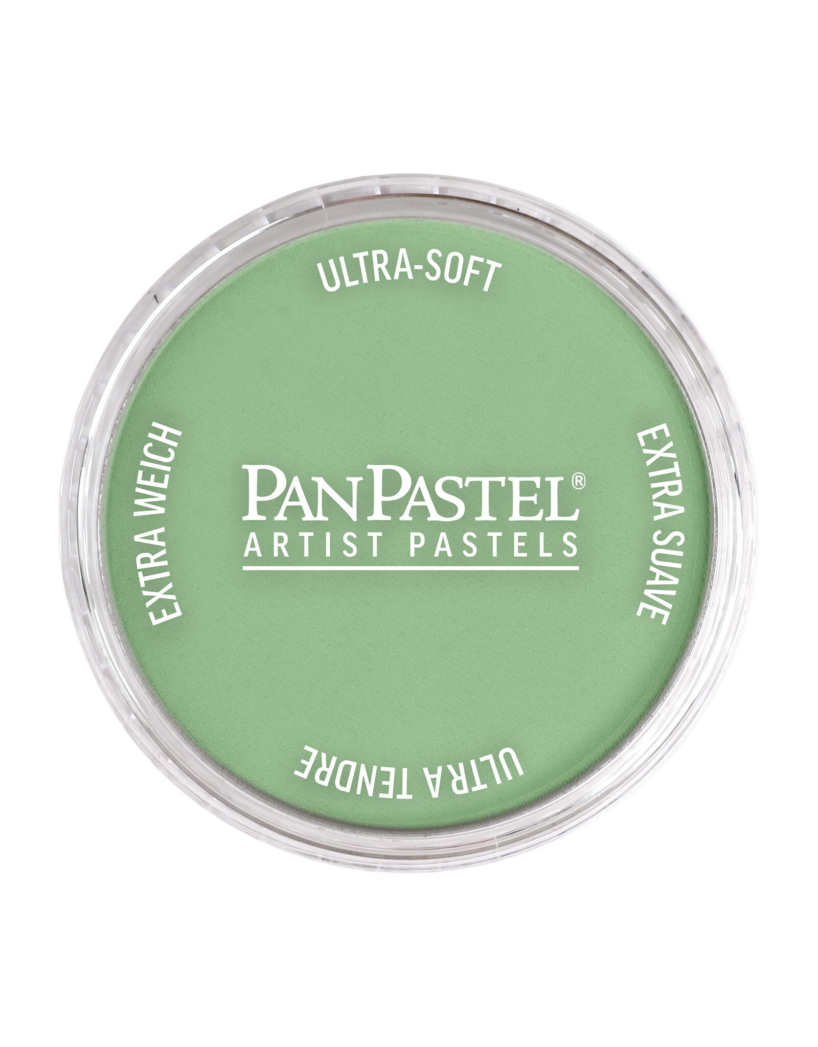 Panpastel PanPastel Colours Chromium Oxide Green Light
