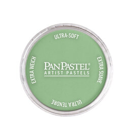 Panpastel PanPastel Colours Chromium Oxide Green Light
