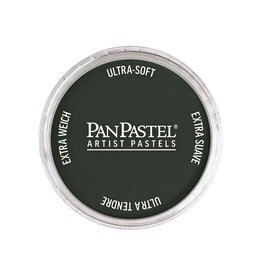 Panpastel PanPastel Colours, Neutral Grey Extra Dark 1