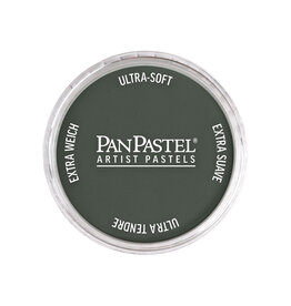 Panpastel PanPastel Colours, Neutral Grey Extra Dark 2