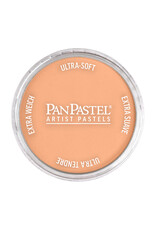 Panpastel PanPastel Colours Burnt Sienna Light