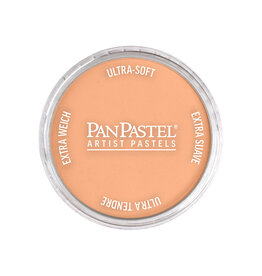 Panpastel PanPastel Colours Burnt Sienna Light