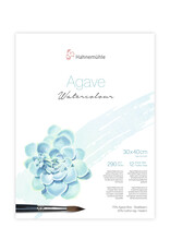 Hahnemuhle Hahnemuhle Agave Watercolour Paper Cold press, 12 Sheets 11.81” X 15.75"