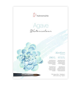 Hahnemuhle Hahnemuhle Agave Watercolour Paper Cold press, 12 Sheets 11.81” X 15.75"