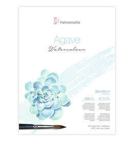 Hahnemuhle Agave Watercolour Paper Cold Press, 12 Sheets 13.17” X 18.90"