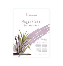 Hahnemuhle Hahnemuhle Sugar Cane Watercolor Block Cold press, 12 Sheets 9.45” X 12.6”