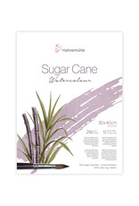 Hahnemuhle Hahnemuhle Sugar Cane Watercolor Block Cold press, 12 Sheets 11.81” X 15.75”
