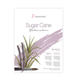 Hahnemuhle Hahnemuhle Sugar Cane Watercolor Block Cold press, 12 Sheets 11.81” X 15.75”