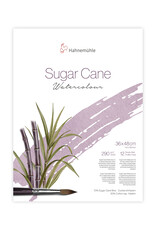 Hahnemuhle Hahnemuhle Sugar Cane Watercolor Block Cold press, 12 Sheets 14.17” X 18.9”