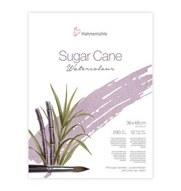 Hahnemuhle Hahnemuhle Sugar Cane Watercolor Block Cold press, 12 Sheets 14.17” X 18.9”