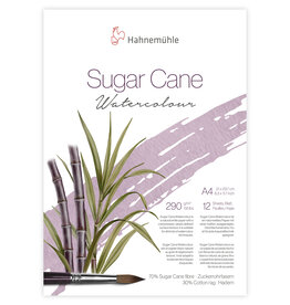 Hahnemuhle Hahnemuhle Sugar Cane Watercolor Paper Cold press, 12 Sheets A4 (8.3” X 11.7”)