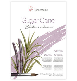 Hahnemuhle Hahnemuhle Sugar Cane Watercolor Paper Cold press, 12 Sheets A3 (11.7” X 16.5")