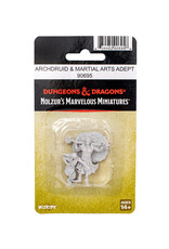 WIZKIDS D&D Nolzur's Marvelous  Miniatures   Archdruid & Martial Arts Adept