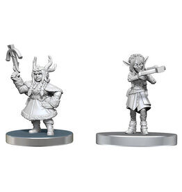 WIZKIDS Critical Role  Miniatures Veth Brenatto & Nott the Brave