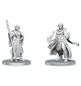 WIZKIDS Critical Role  Miniatures Beauregard Lionett & Caleb Widogast
