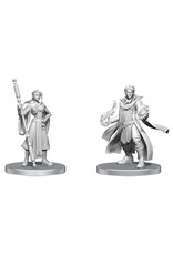 WIZKIDS Critical Role  Miniatures Beauregard Lionett & Caleb Widogast