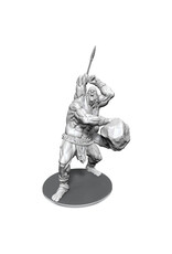 WIZKIDS D&D Nolzur's Marvelous Miniatures B'rohg