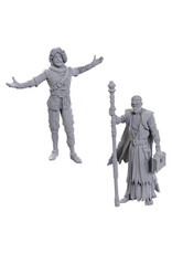 WIZKIDS D&D Nolzur's Marvelous Miniatures Special Edition Baldur's Gate  Volo & Withers