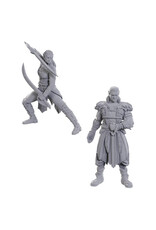 WIZKIDS D&D Nolzur's Marvelous Miniatures Special Edition Baldur's Gate Jaheira & Halsin