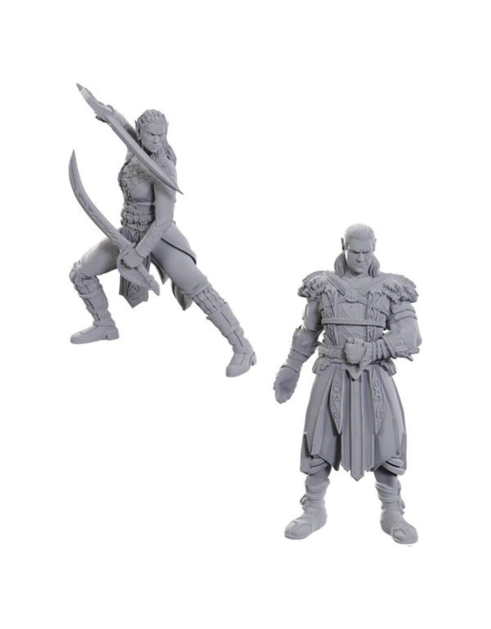 WIZKIDS D&D Nolzur's Marvelous Miniatures Special Edition Baldur's Gate Jaheira & Halsin