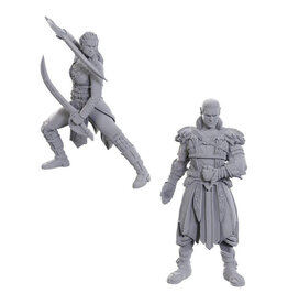 WIZKIDS D&D Nolzur's Marvelous Miniatures Special Edition Baldur's Gate Jaheira & Halsin