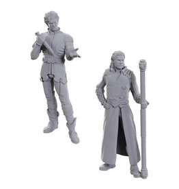 WIZKIDS D&D Nolzur's Marvelous Miniatures Special Edition Baldur's Gate  Gale & Astarion