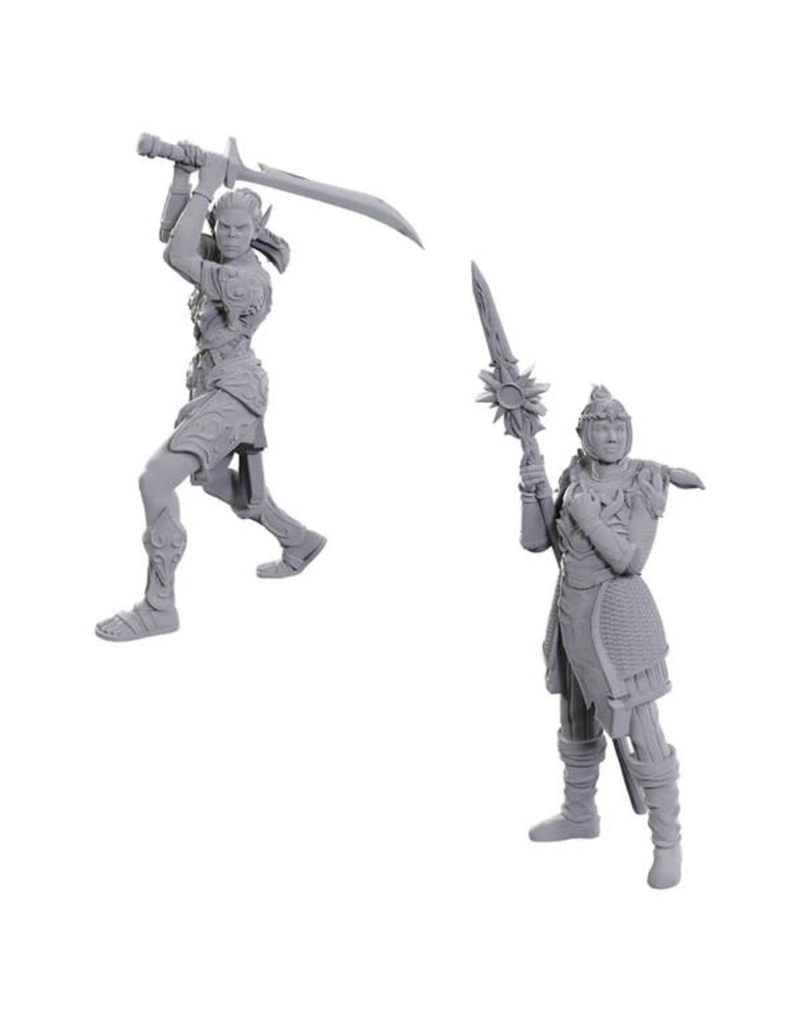 WIZKIDS D&D Nolzur's Marvelous Miniatures Special Edition Baldur's Gate  Lae'zel & Shadowheart