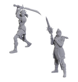 WIZKIDS D&D Nolzur's Marvelous Miniatures Special Edition Baldur's Gate  Lae'zel & Shadowheart
