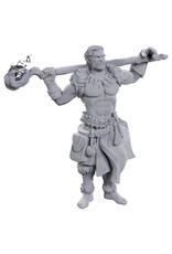 WIZKIDS D&D Nolzur's Marvelous Miniatures Archdruid & Martial Arts Adept
