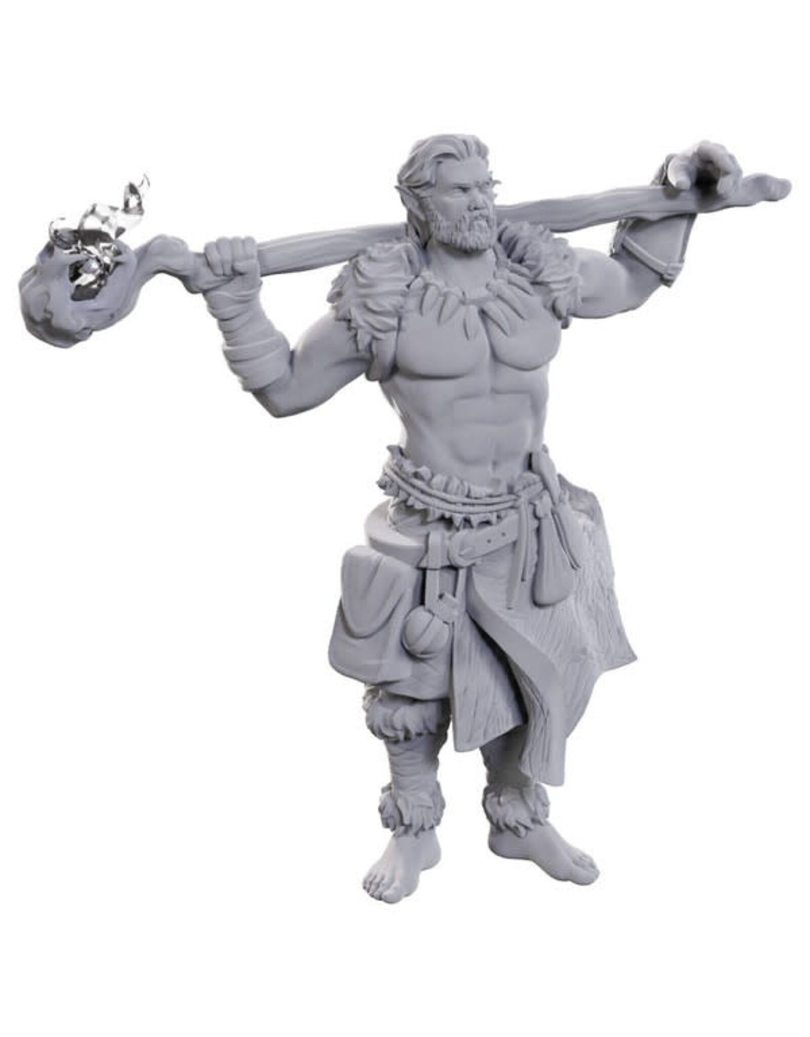 WIZKIDS D&D Nolzur's Marvelous Miniatures Archdruid & Martial Arts Adept