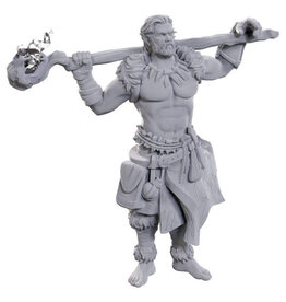 WIZKIDS D&D Nolzur's Marvelous Miniatures Archdruid & Martial Arts Adept