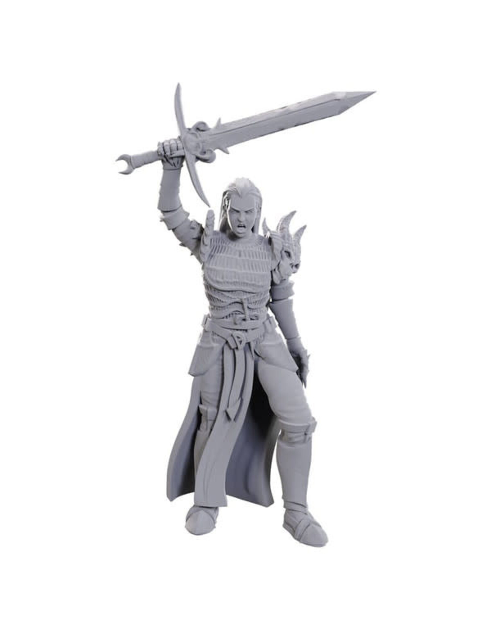 WIZKIDS D&D Nolzur's Marvelous Miniatures Blackguard