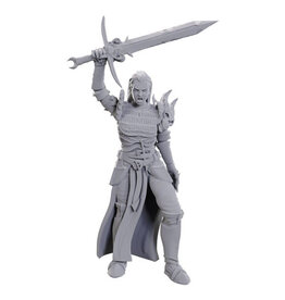 WIZKIDS D&D Nolzur's Marvelous Miniatures Blackguard