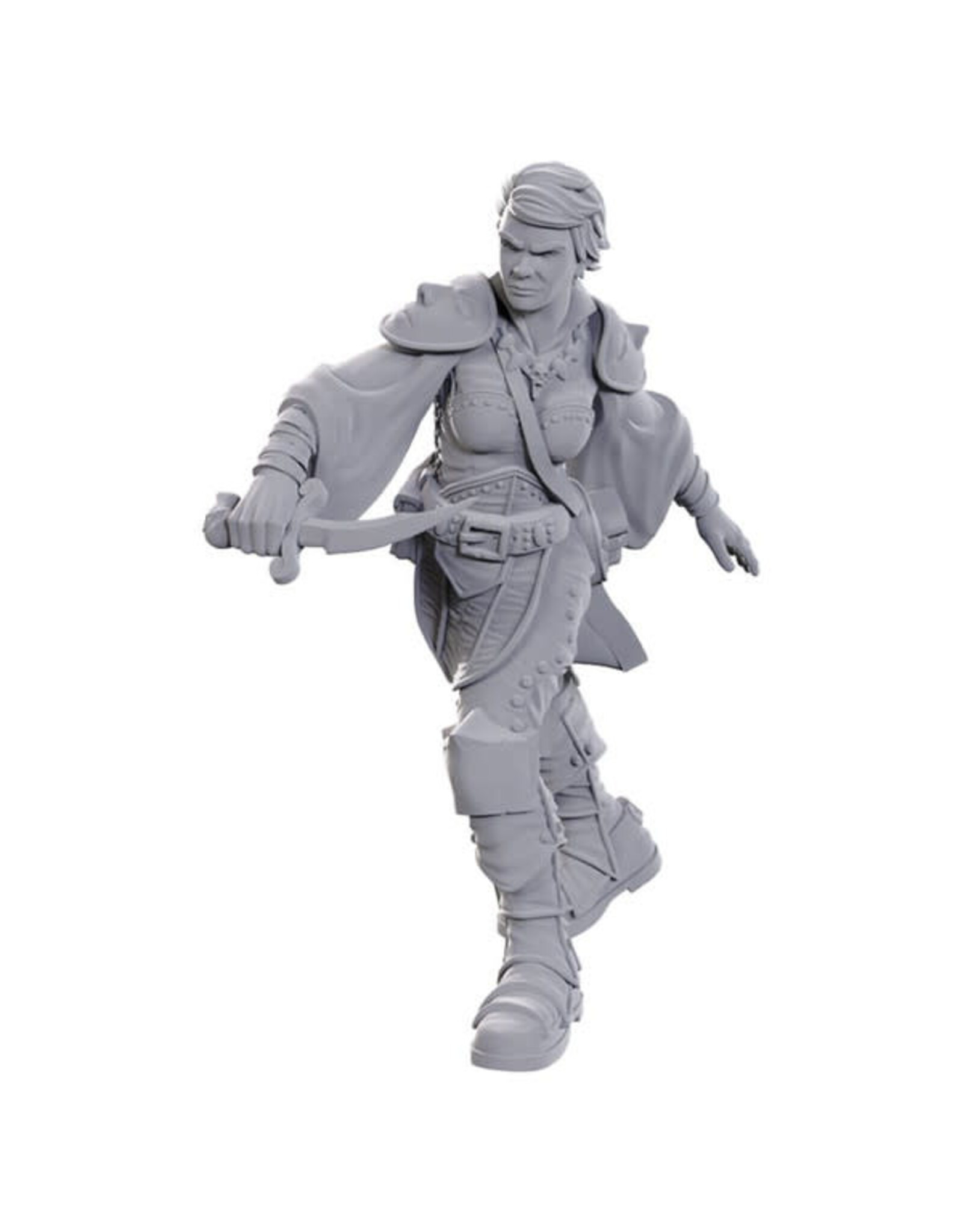 WIZKIDS D&D Nolzur's Marvelous Miniatures Swashbuckler