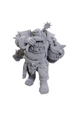 WIZKIDS D&D Nolzur's Marvelous Miniatures Ogre Soldier