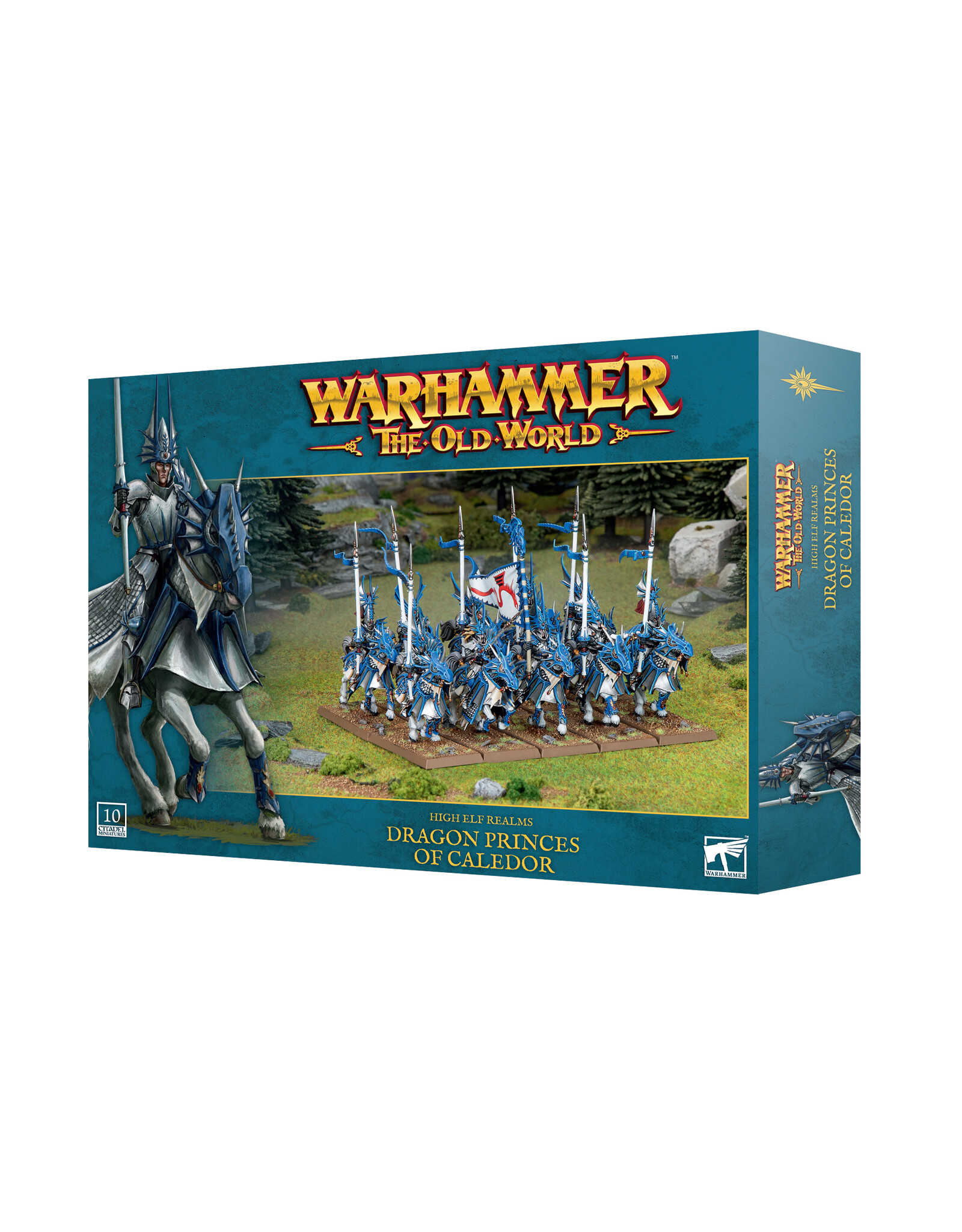 Games Workshop High Elf Realms Dragon Princes of Caledor