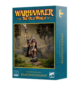 Games Workshop Beastmen Brayherds Beastman Shaman