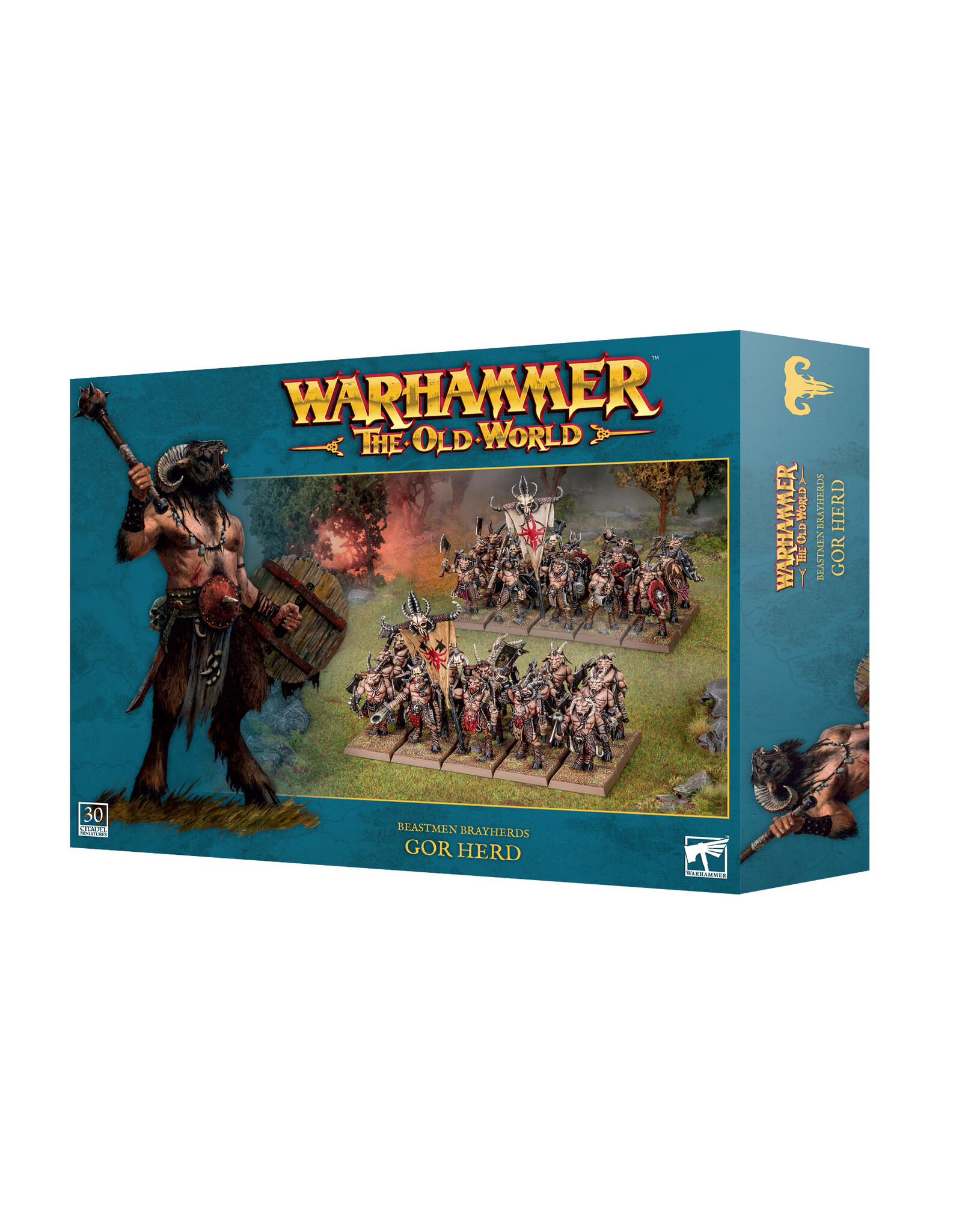 Games Workshop Beastmen Brayherds Gor Herd