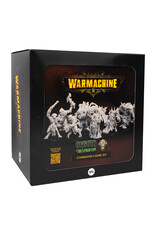 Warmachine Orgoth Cursebound Command Cadre