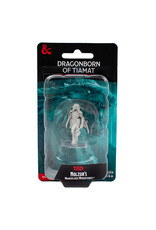 WIZKIDS D&D Nolzur's Marvelous Miniatures Dragonborn of Tiamat WIZKIDS D&D Nolzur's Marvelous Miniatures Dragonborn of Tiamat