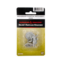 WIZKIDS D&D Nolzur's Marvelous Miniatures Archdruid & Martial Arts Adept
