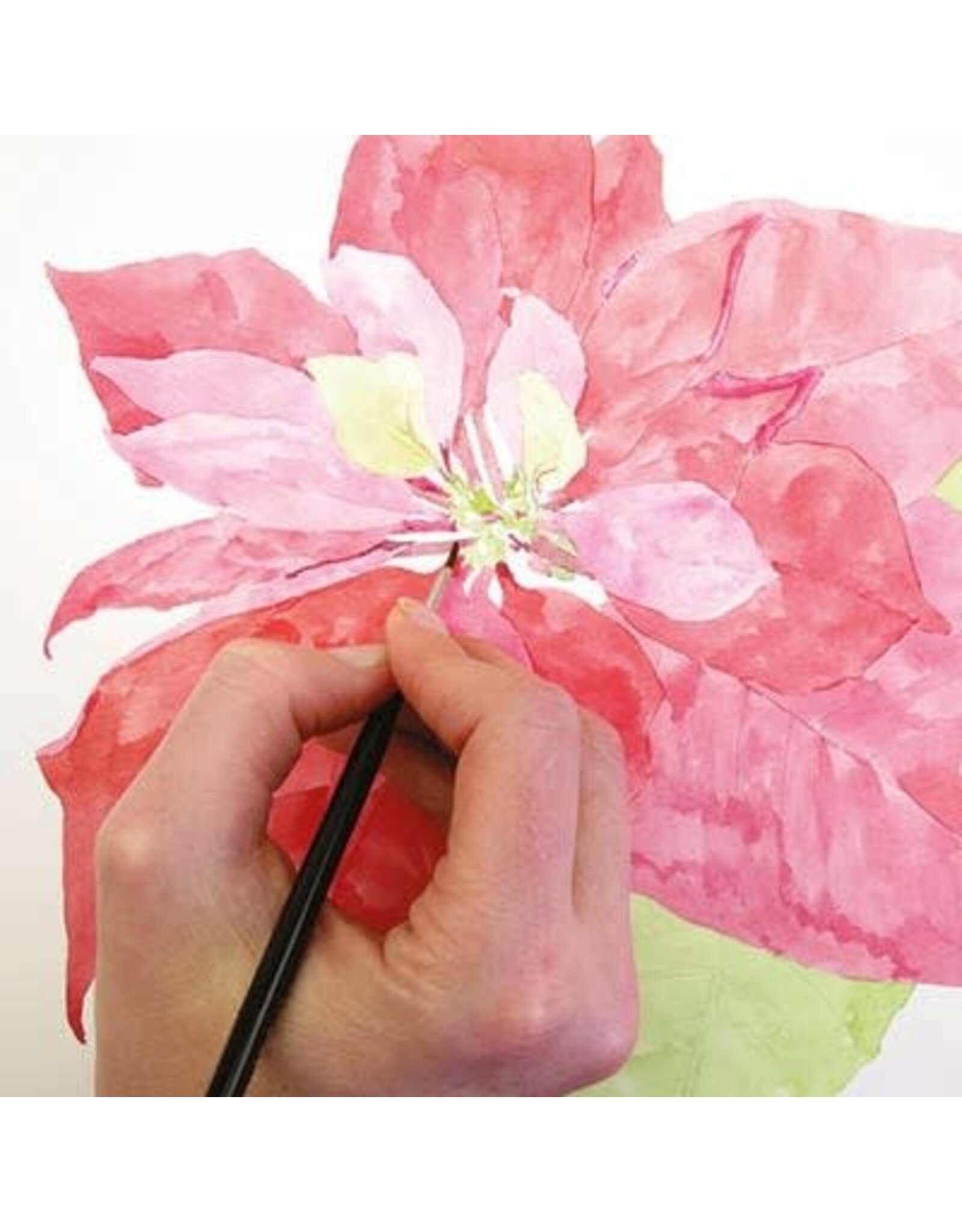 Watercolor: Poinsettia Friday December 19 11:00 - 1:00
