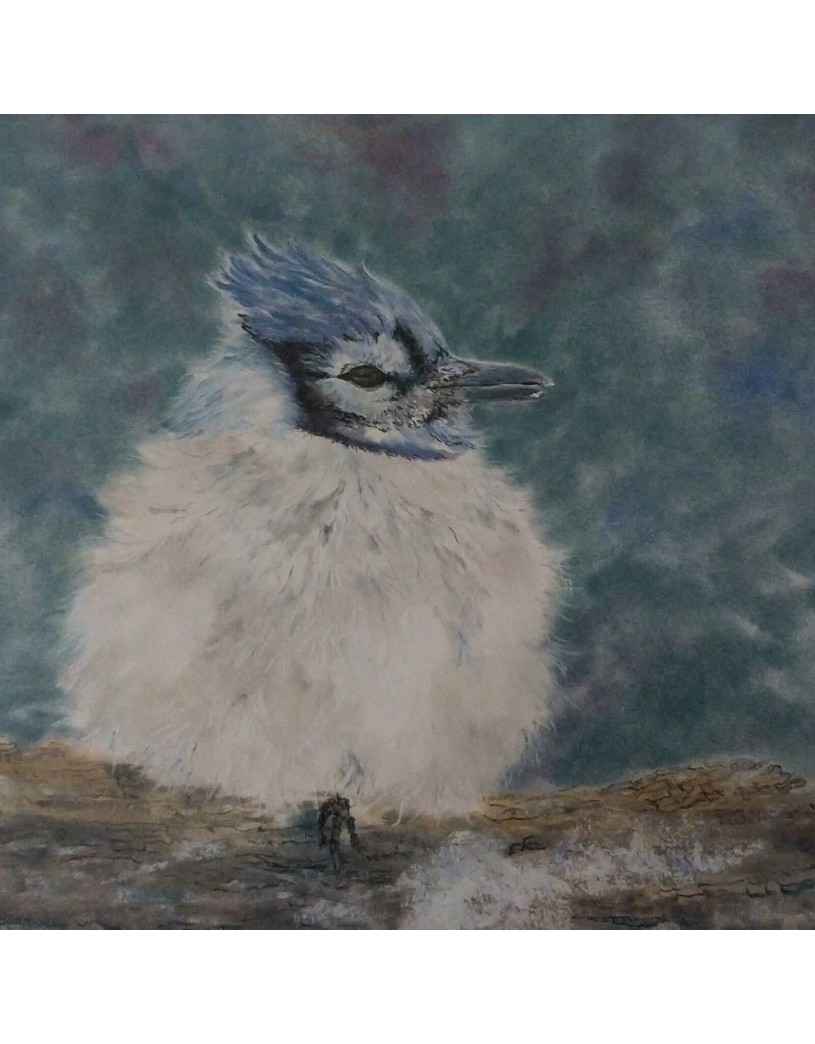 PanPastels: Plume & Pigment Saturday February 14 11:00 - 1:00