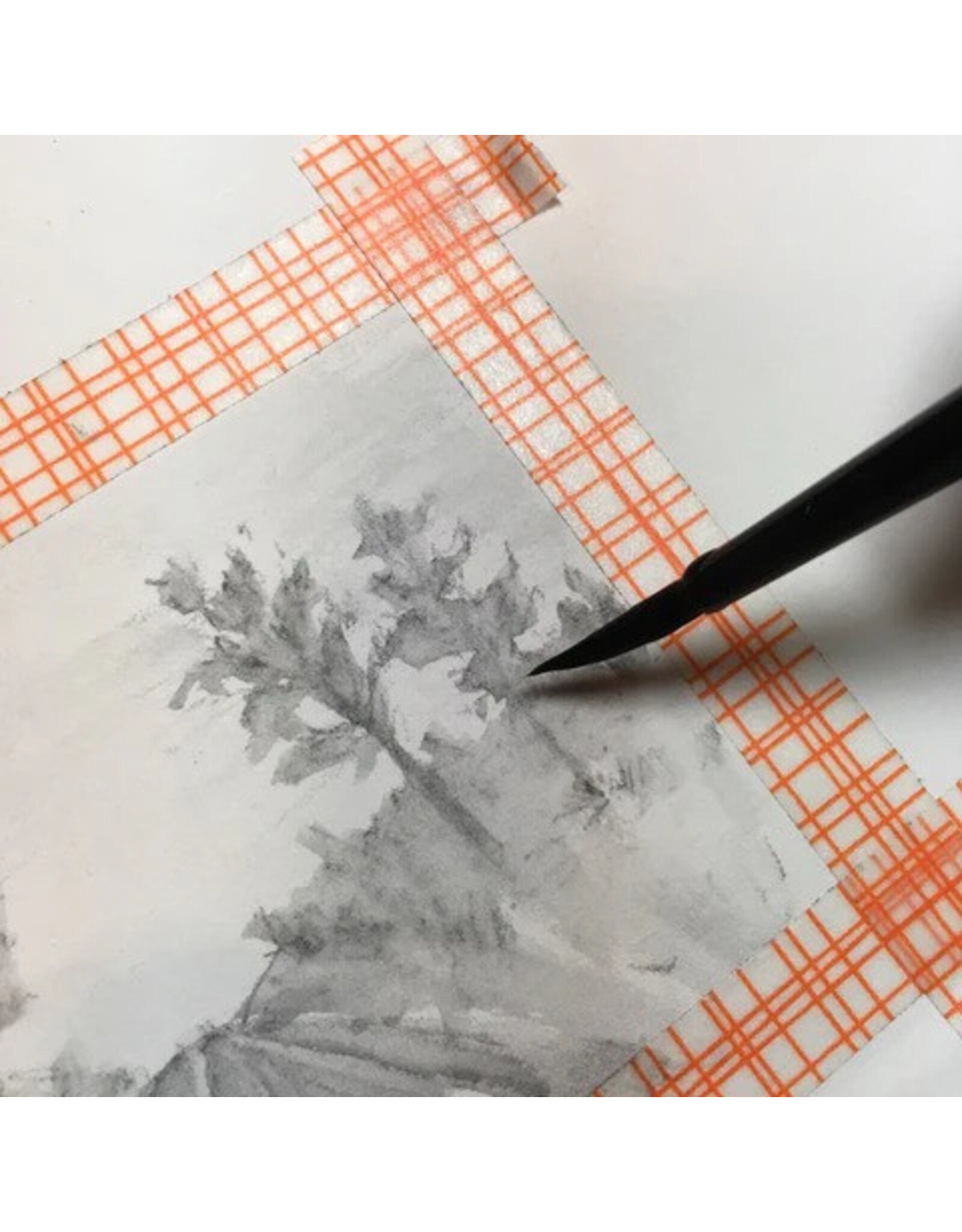 Graphite in Motion Friday February 20 11:00 - 1:00