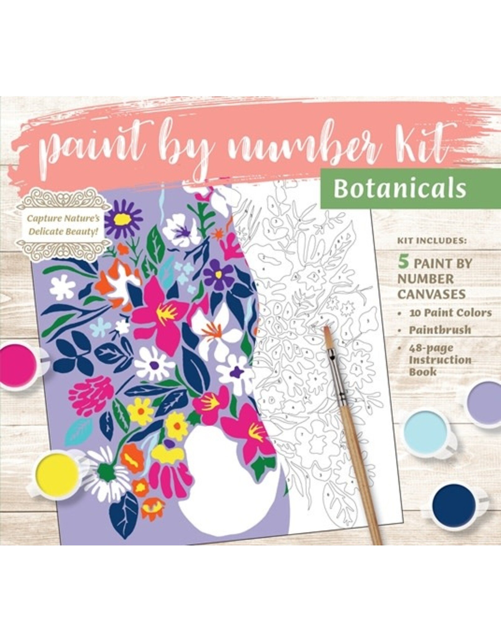 Paint by Numbers Kit: Botanicals