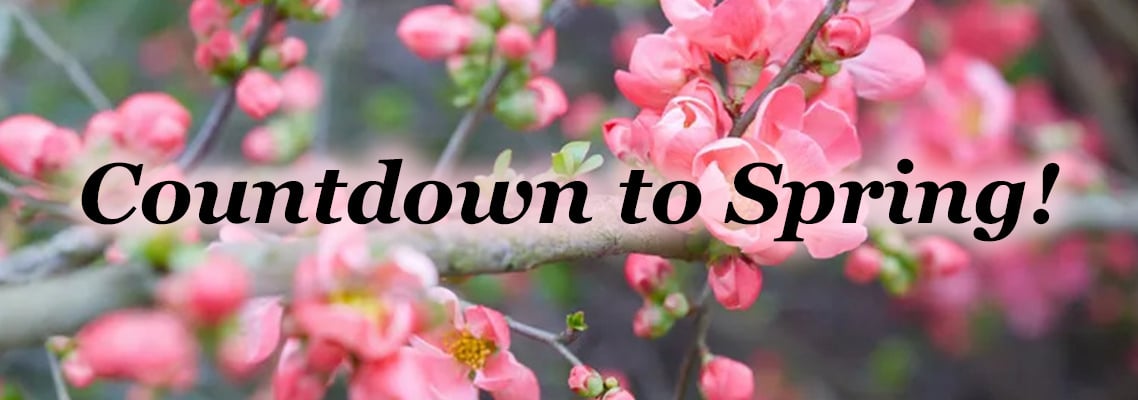 Countdown To Spring