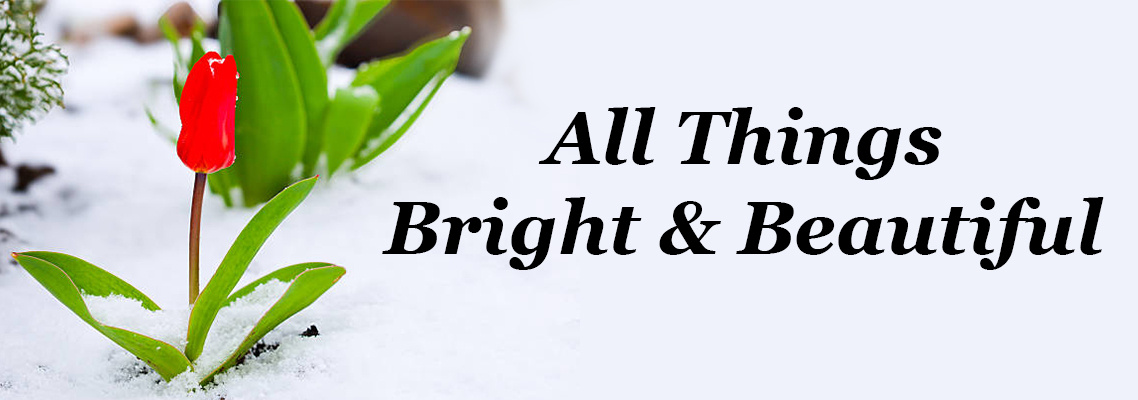 All Things Bright & Beautiful