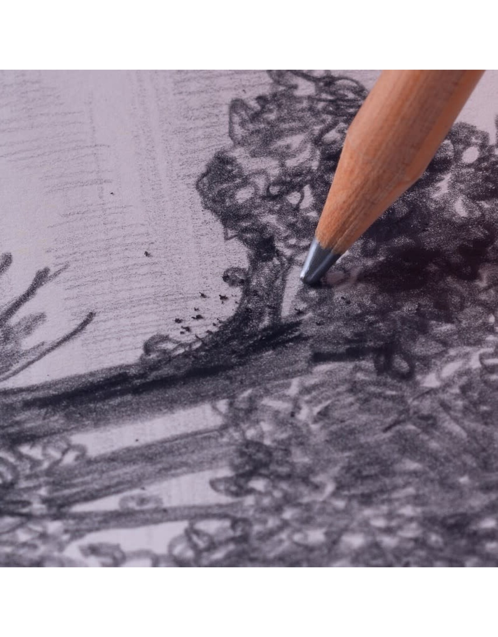 Intro to Graphite Drawing Friday April 17 11:00 - 1:00