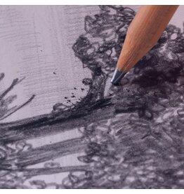 Intro to Graphite Drawing Friday April 17 11:00 - 1:00